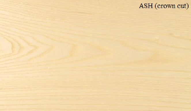 ASH Thick wood veneer